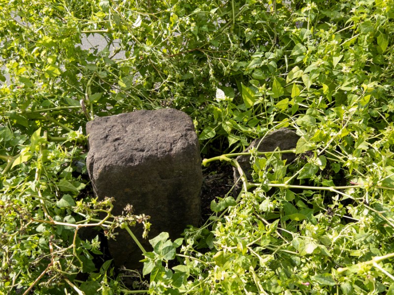 【BRI-CHAN】瀬谷の鎌倉古道は「三叉路の真ん中に地神塔」がお好き!?